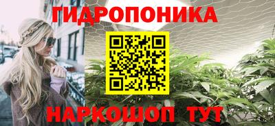 гашик Волжск