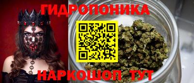 гашик Волжск