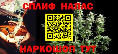 МДПВ Волгодонск