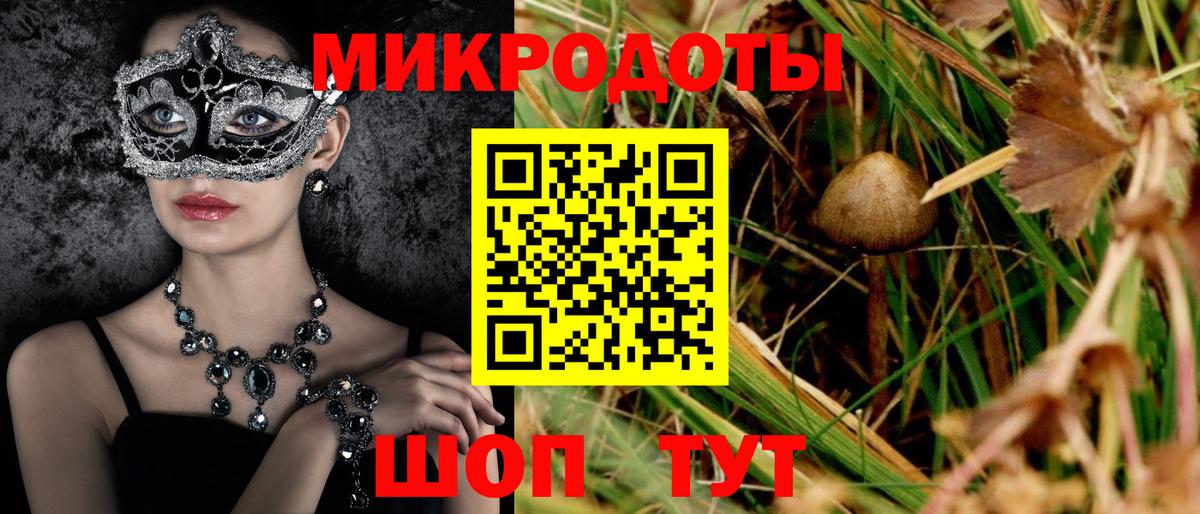 Галлюциногенные грибы Cubensis Омск