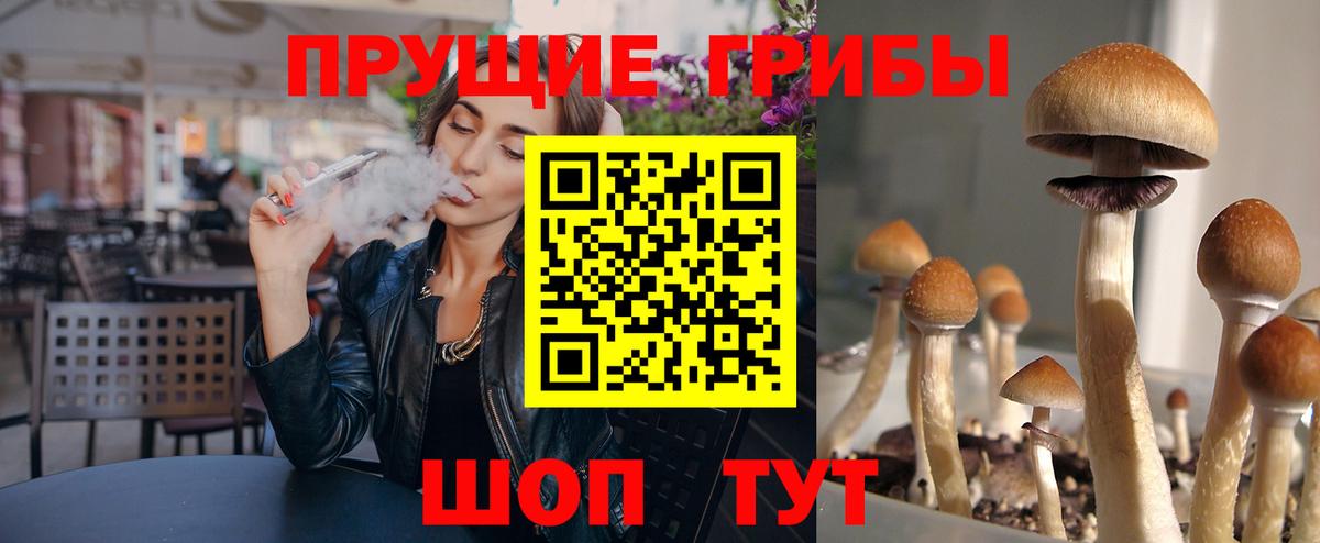 Псилоцибиновые грибы Cubensis  Вход с VPN  Омск 